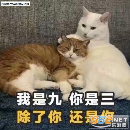 ���Ǿ������������㻹�����黰�������ͼ0