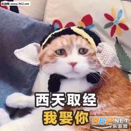 ���Ǿ������������㻹�����黰�������ͼ1