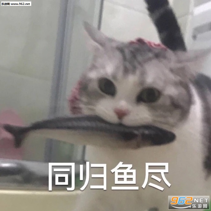 ̩ȭ��������ͼƬ��ͼ4