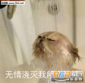 ̩ȭ��������ͼƬ��ͼ5