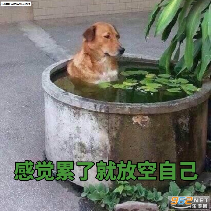 ̩ȭ��������ͼƬ��ͼ6