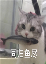 ̩ȭ��������ͼƬ