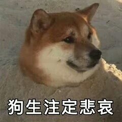 �㵱���������Ѿ���������ͼƬ��ͼ7