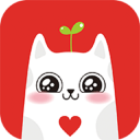 ������APP