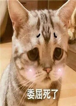 è��ɰ�ϵ�б����