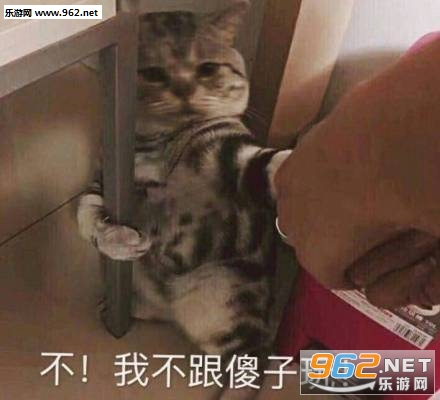 è��ɰ�ϵ�б������ͼ2