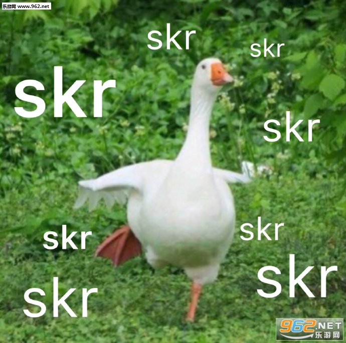 skr��ʲô��˼ʲô���������ͼ0