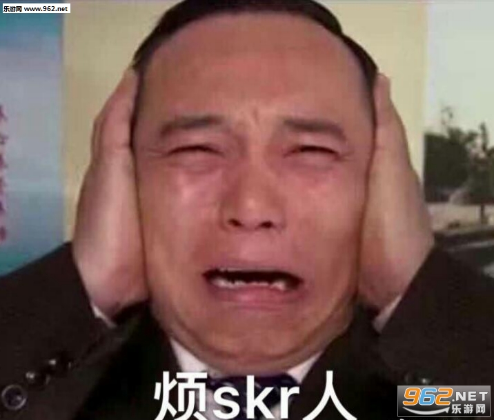 skr��ʲô��˼ʲô���������ͼ1