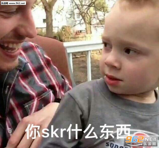 skr��ʲô��˼ʲô���������ͼ4