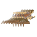 Ѱ��ð�չٷ���