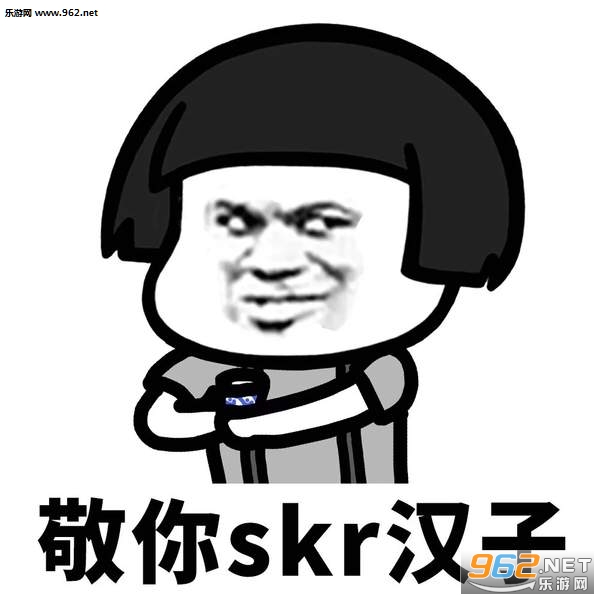 ��skr�˱������ͼ1
