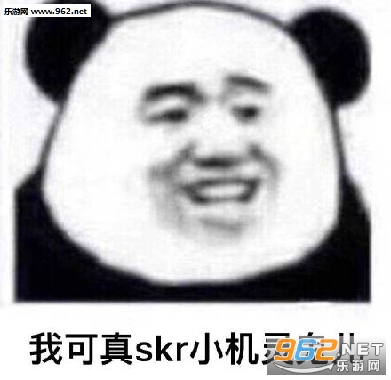 ��skr�˱���ͼƬ��ͼ5