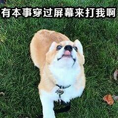 ����һ��ѧŮ�˽б����ͼƬ��ͼ4