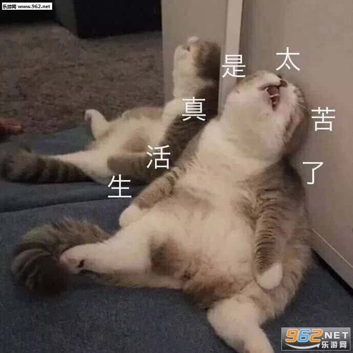 ����һ��ѧŮ�˽б����ͼƬ��ͼ5