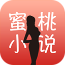����С˵app