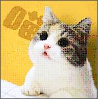 ����app�ٷ���
