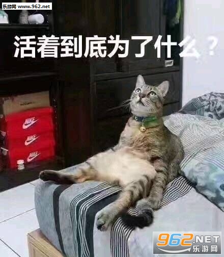 ���ŵ���Ϊ��ʲô�����ͼƬ��ͼ0