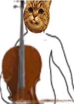 ɳ��è��������̬�����