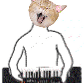 ɳ��è��������̬�������ͼ1