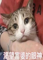 �������ŵ���������