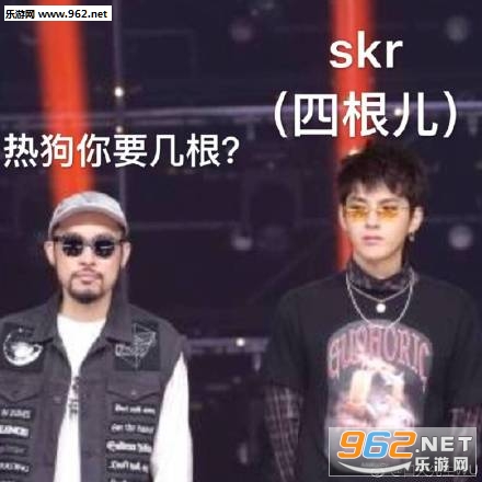 skr�������ͼ1