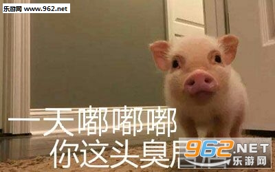 С�Ӿӱ������ͼ2