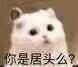 С�Ӿӱ������ͼ4
