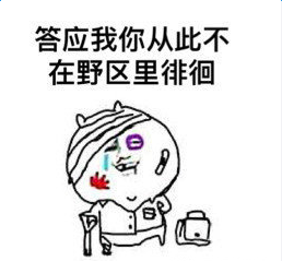 王者荣耀版爱如潮水表情包截图2