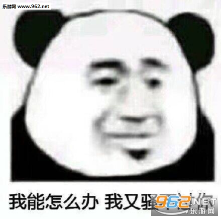 С��è���С��ߴ�������ͼ3