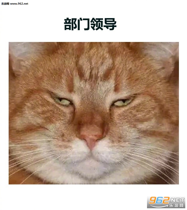 ��˾�������쵼�������ͼ2