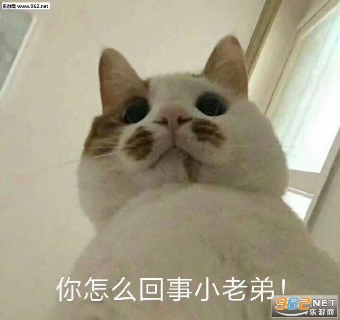 �������������㶶�������ͼƬ��ͼ2