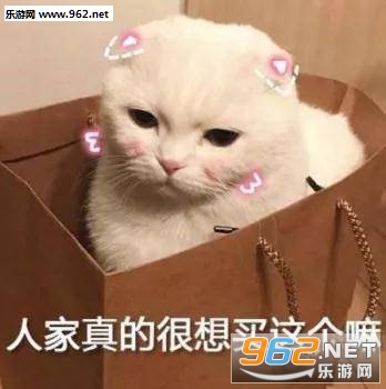 �������������㶶�������ͼƬ��ͼ5