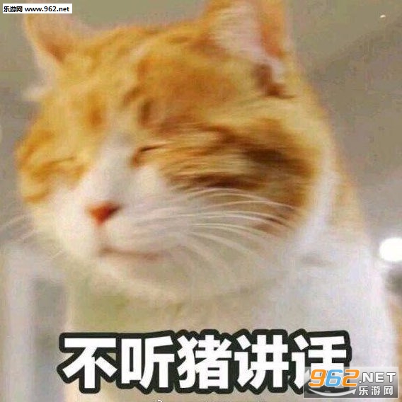 �������������㶶�������ͼƬ��ͼ6