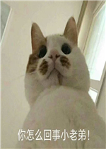 �������������㶶�������ͼƬ