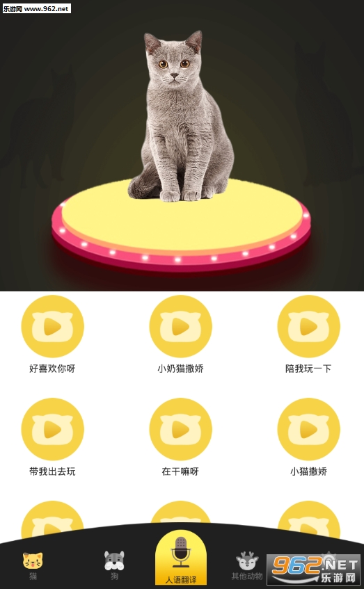 ���˹�è������app��/