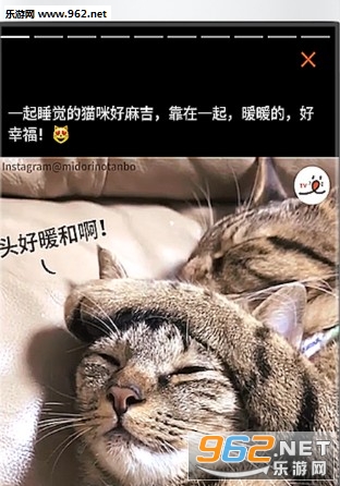 朋宠PECO安卓版