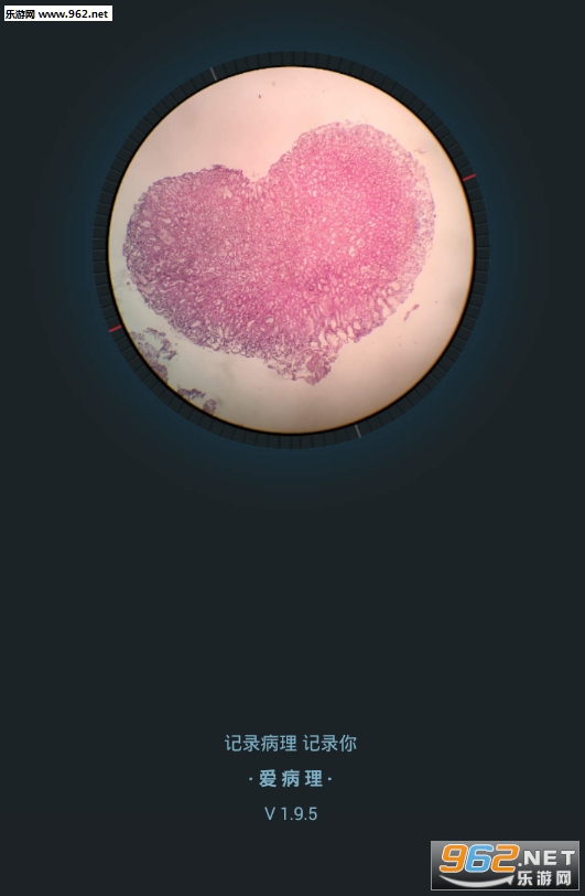 ��������app��/