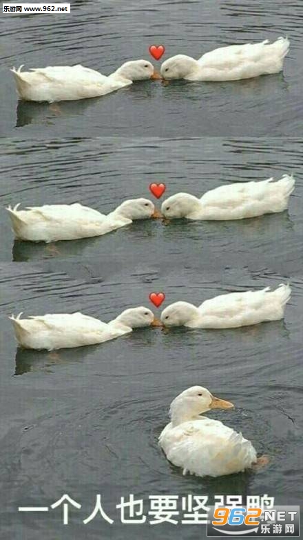 ��ͼץס����С�к��κӱ����