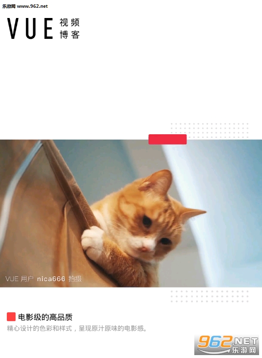 ��VUE��Ƶ�����׿�桱/