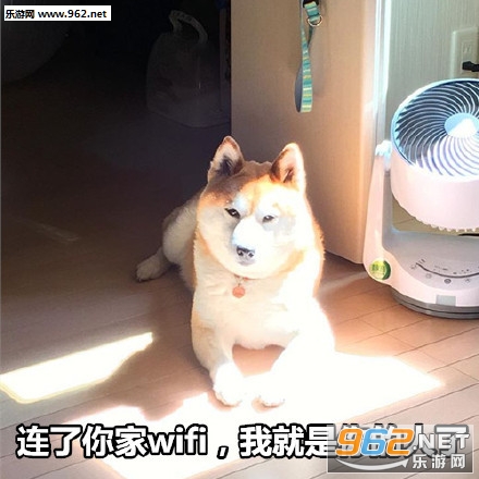 ���ǲ��ǽ�����·�����