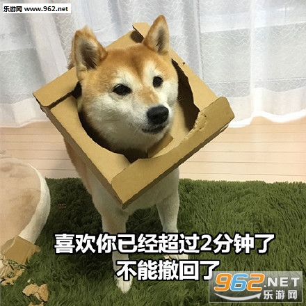 ���ǲ��ǽ�����·�����