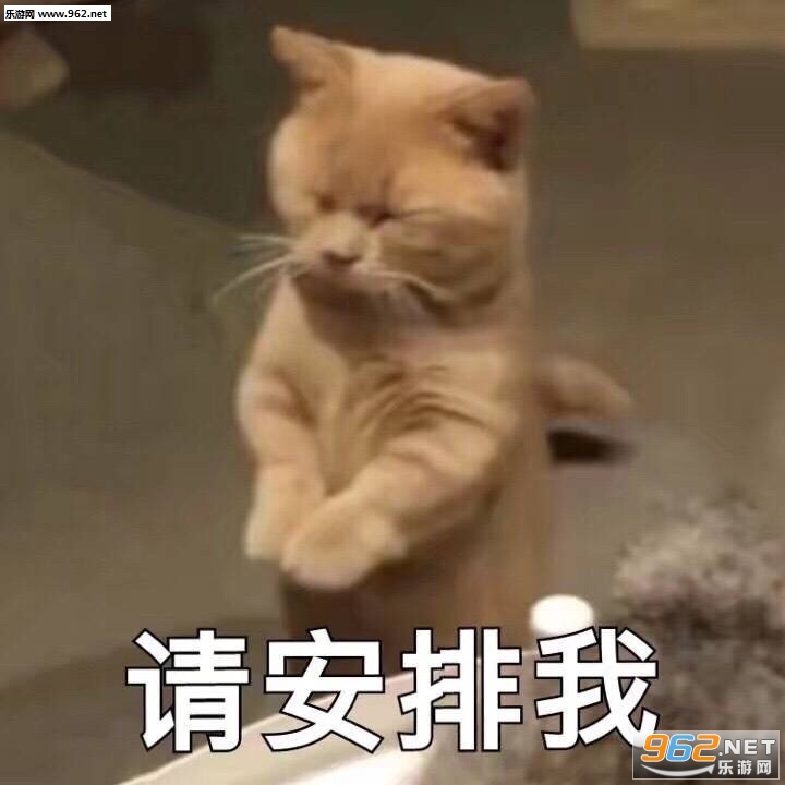 您不觉得您有点叛逆吗表情包