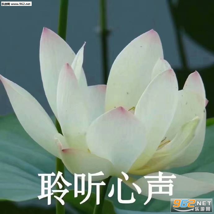 ��ƽ���ͷ�ϵ�����
