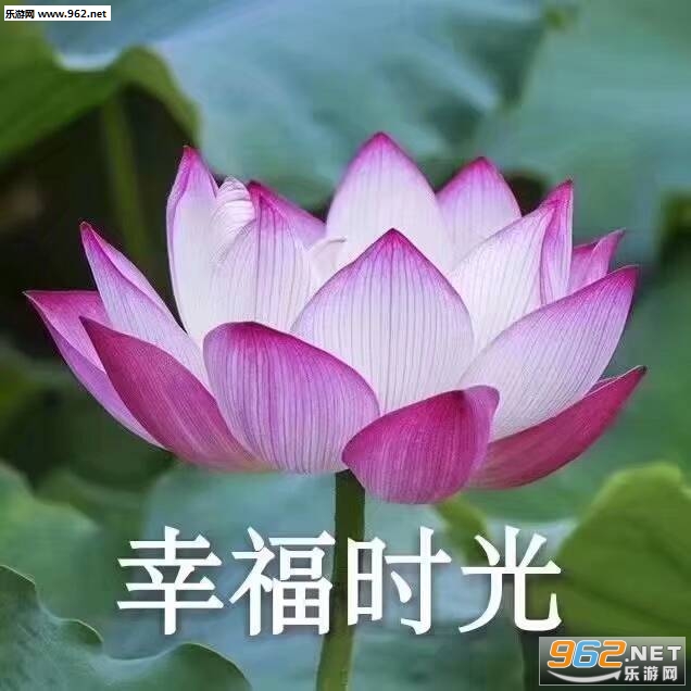 ��ƽ���ͷ�ϵ�����