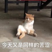����Ӳ�������