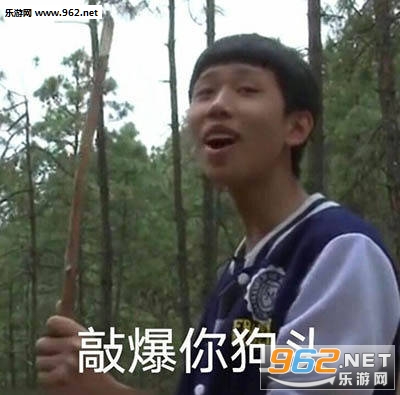 不聊天了打游戏表情包图片