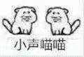 日常盯傻子表情包图片