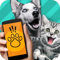 Pet Translator(�������ｻ������׿��)