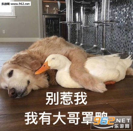 ����������Լ�����ǹ�������ͼ1