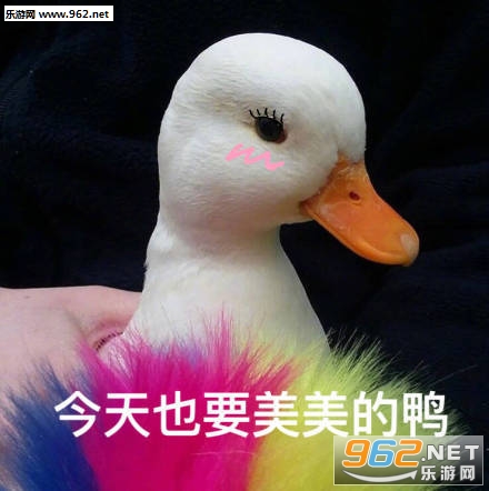 ����������Լ�����ǹ�������ͼ0